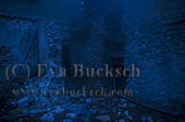 Sp&ouml;khus - foto av Eva Bucksch